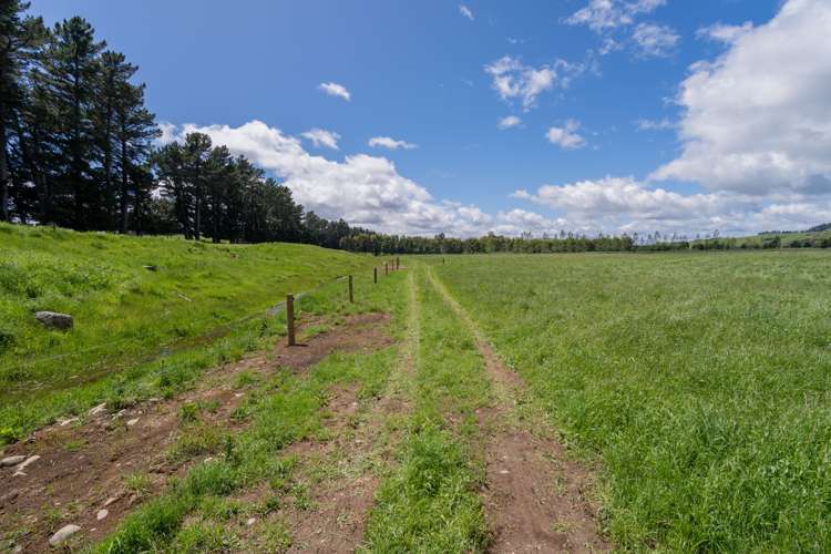 120 Wetlands Road Te Anau_18