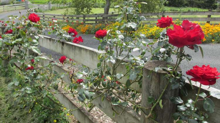 2 Marshall Road Rangiriri_22