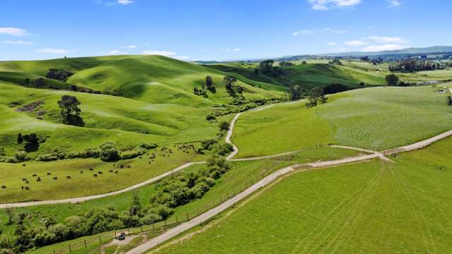 258 Paratu West Road Richmond Downs_3