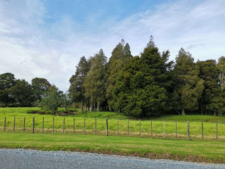 109 Sandford Road Ruakaka_25