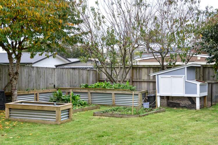 51 Robinson Street Cambridge_16