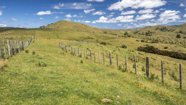 411 Cannock Road Hinakura_12