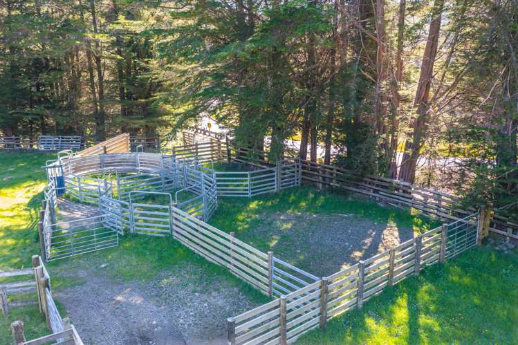 600 Hundalee Road Kaikoura_47