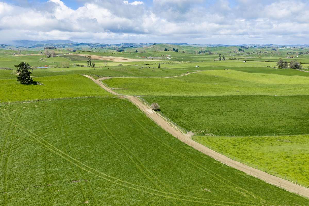 1356 Otorohanga Road, State Highway 3_1