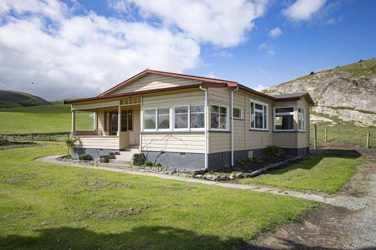 35 Andrew Street Allenton_7