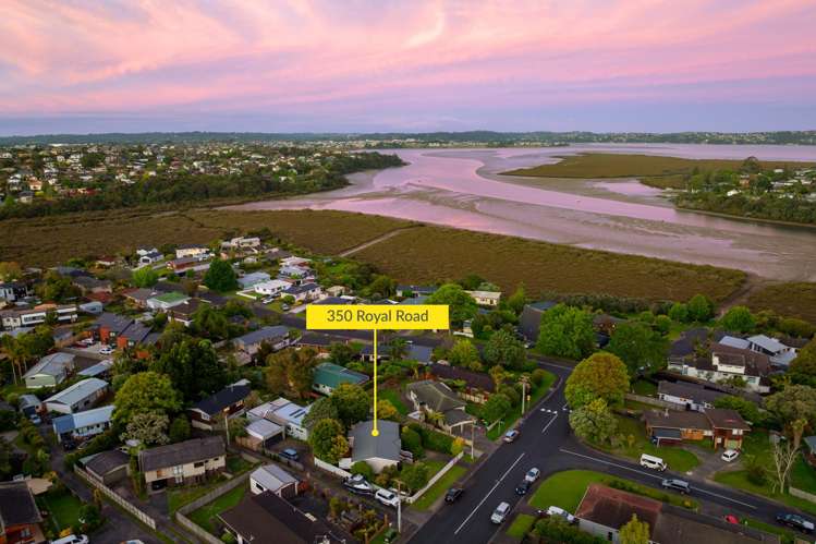 350 Royal Road Massey_30