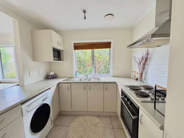 62A Calabar Road Miramar_3