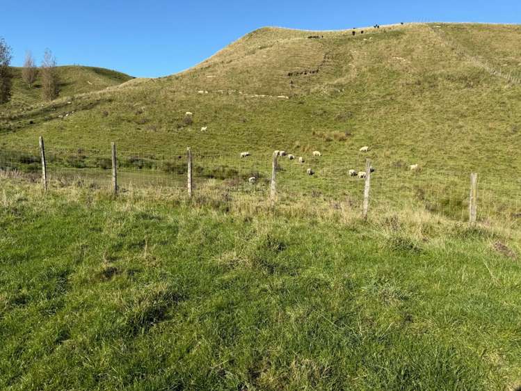 196 Ngapaeruru Rd Dannevirke_16