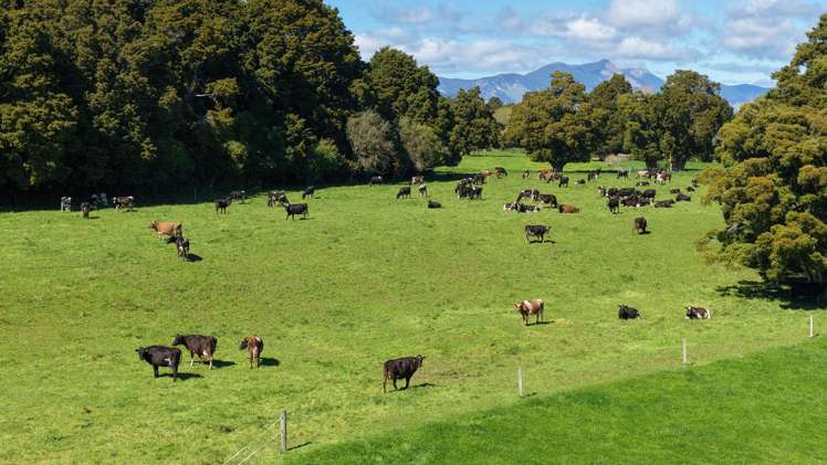 574 East Takaka Road East Takaka_3