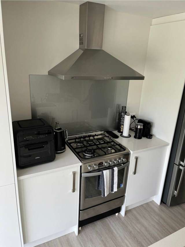 20A Blackbridge Road Dairy Flat_2