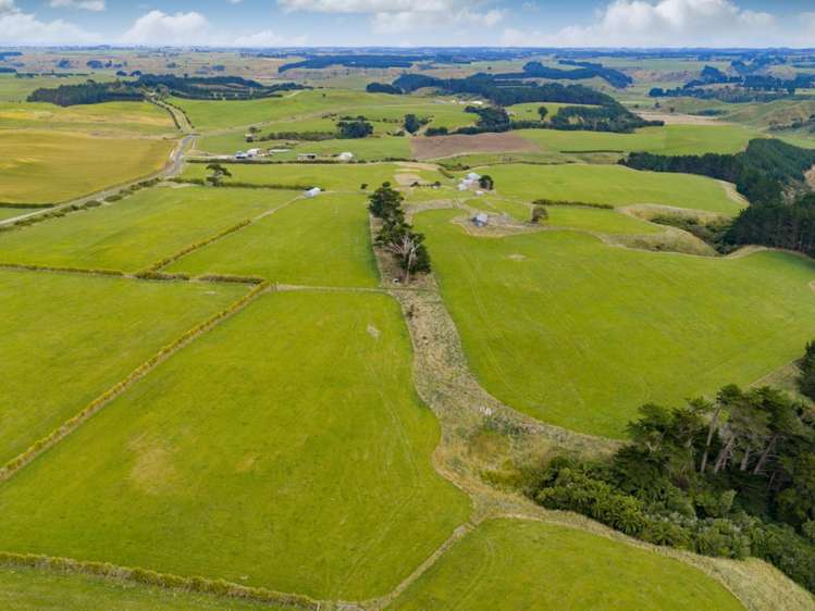 116 Karahaki Road Waverley_17