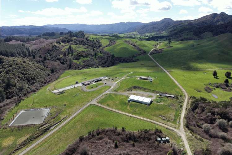 283 Minginui Road Galatea_37