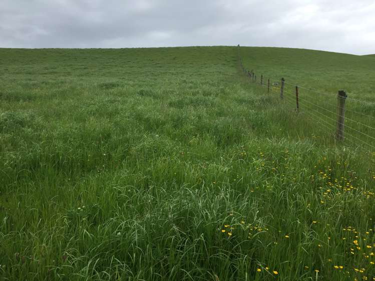 46 Clarkes Road, Glenledi Milton_18