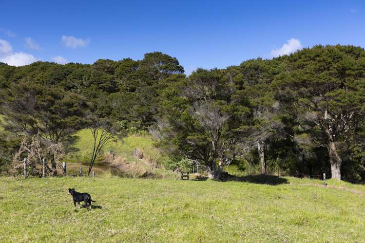 383 Okahu Road Kaitaia_40