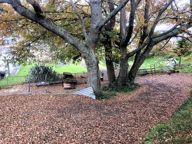 6 Church Street Waipawa_15