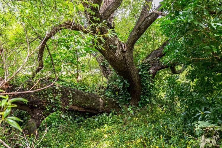 80 Johnston Street Featherston_20