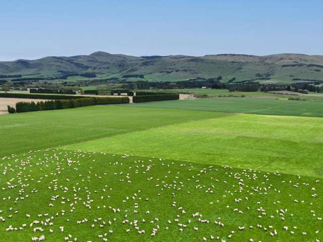 Reliable Bare Land Block