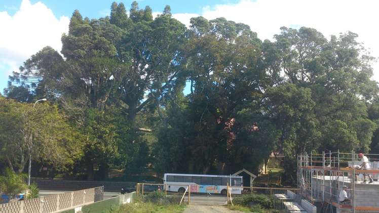 88e Great South Road Epsom_9