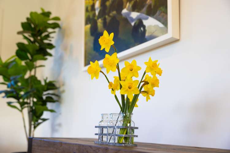 228 Avondale Road Greenmeadows_20