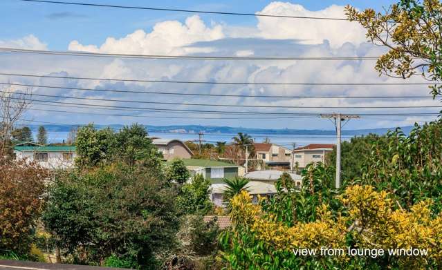 173 Stredwick Drive Torbay_3