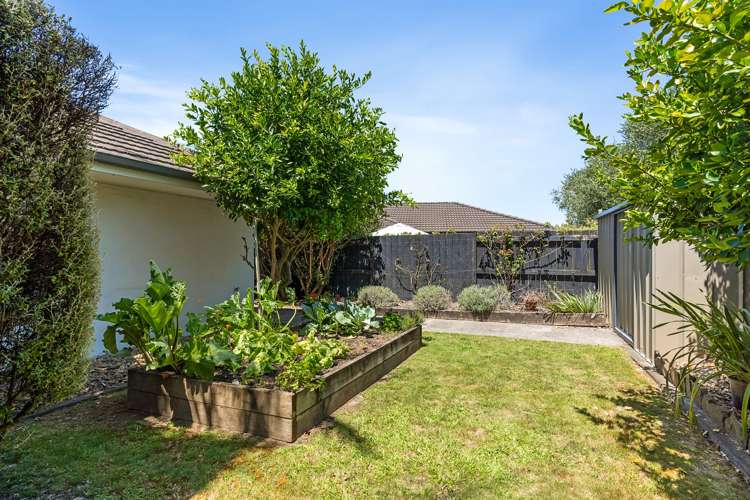 16 Kokomo Key Papamoa_28