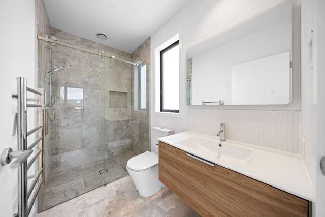 103 Marsh Avenue Morrinsville_3