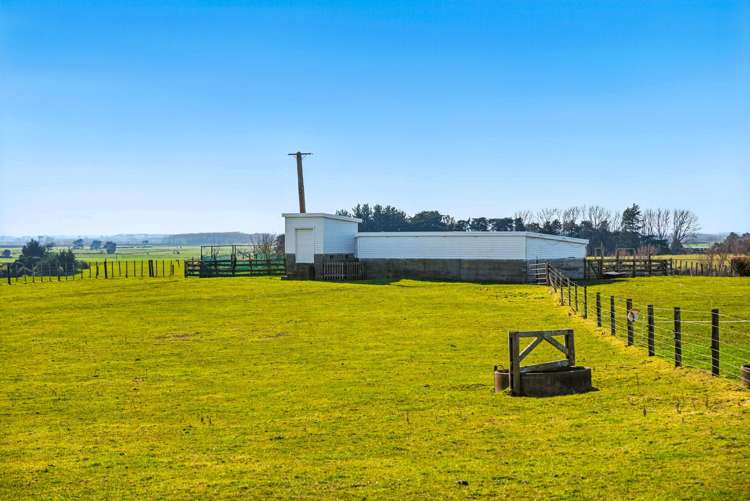 208 Kukutauaki Road Koputaroa_25