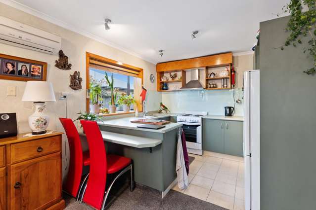 48A Centennial Avenue Riccarton_3