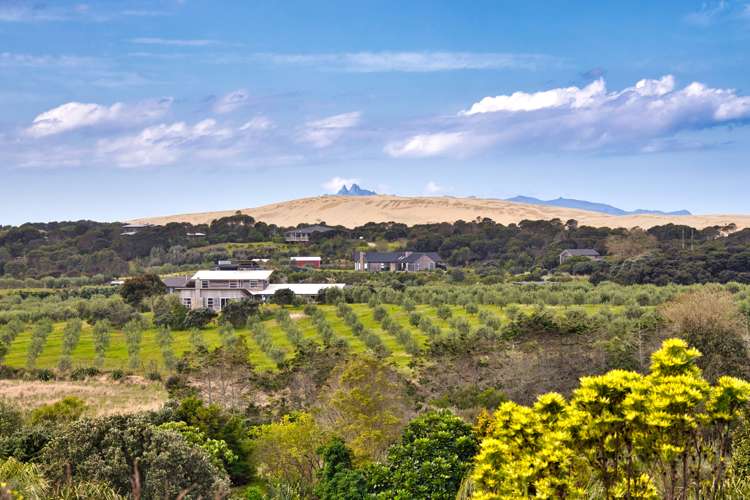 96 Tern Point Mangawhai_17