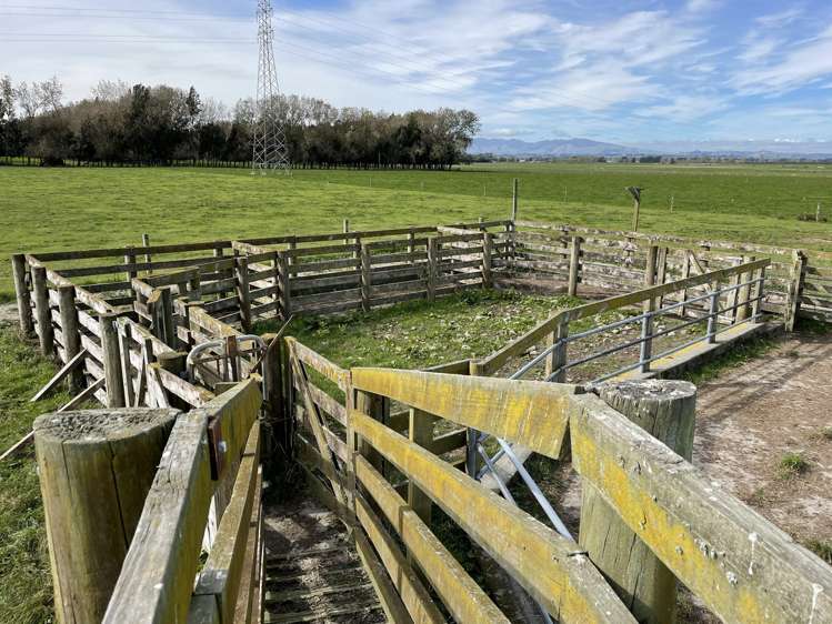 1228 Camerons Line Feilding_1