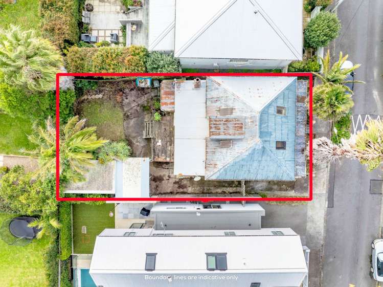 33 John Street Ponsonby_17