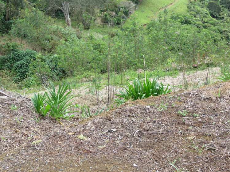 37a Reinga Road Kerikeri_7