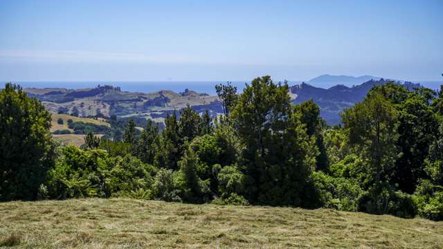 43b Walls Road Waihi_3