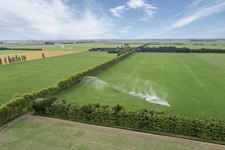 992 Wards Road Kirwee_9