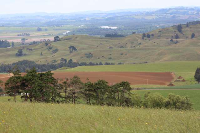 443b Murray Road Pukekawa_4