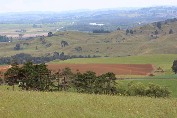 443b Murray Road Pukekawa_4