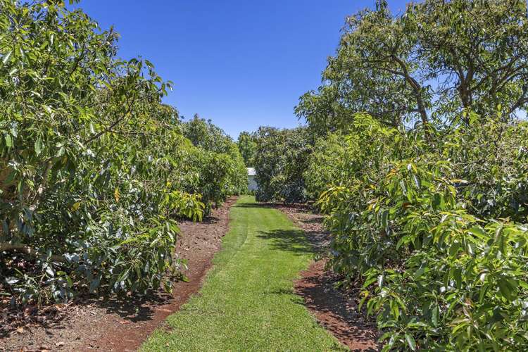 332-356 Main Western Road Tamborine Mountain_35