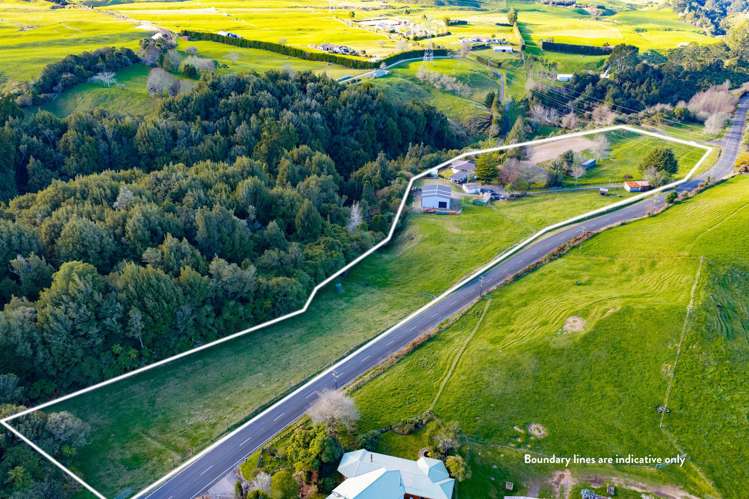 444 Dansey Road Ngongotaha Valley_34