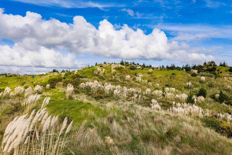 Lot 8/670 Bickerstaffe Road Maungaturoto_7