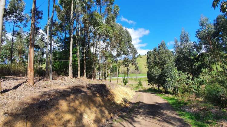 101a Peria Road Peria_16