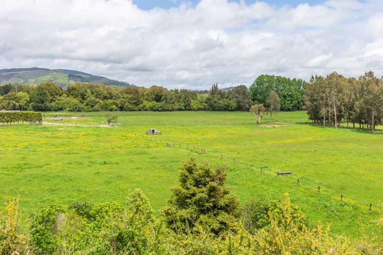 382 Kimberley Road Levin_3