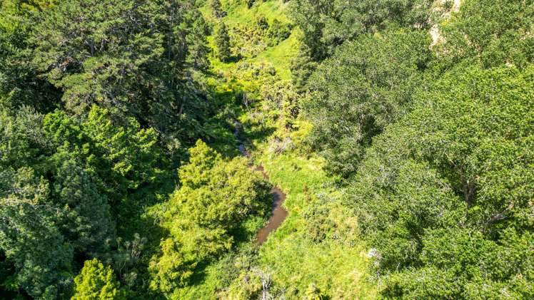 781c Bruntwood Road Tamahere_34