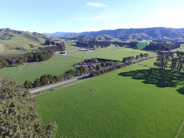 1125 Kakariki Road Eketahuna_12