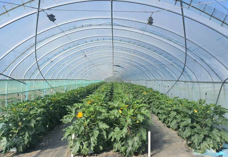 7 Ridge Road Tuakau_20