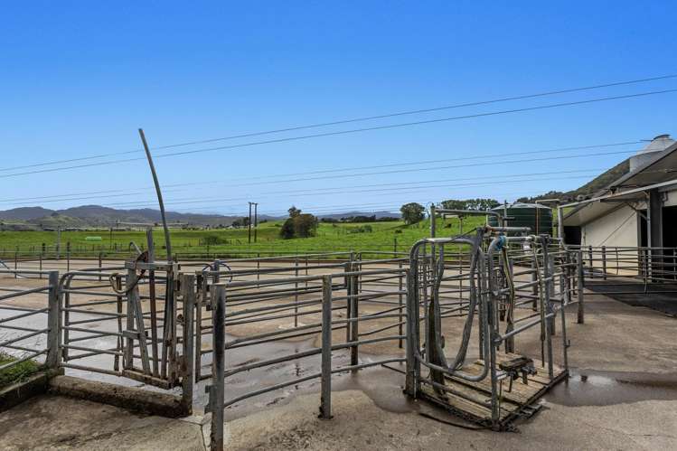 165 Motu Road Opotiki_10