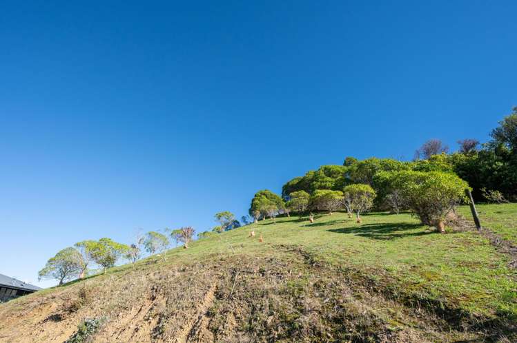 41 Saint Lawrence Street Toi Toi_13