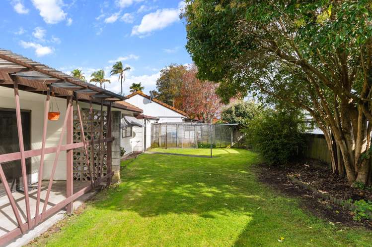 1 Whitmore Street Whataupoko_14