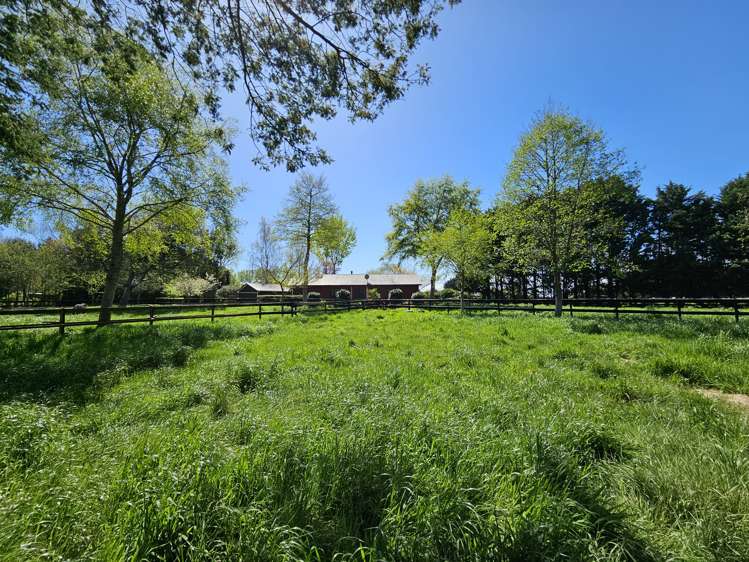 80 Avenue North Road Levin_28