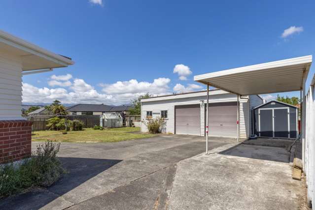 10 Hobson Street Levin_2