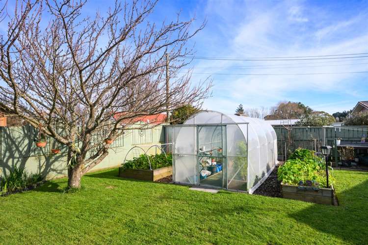 21 Flower Street Bulls_33